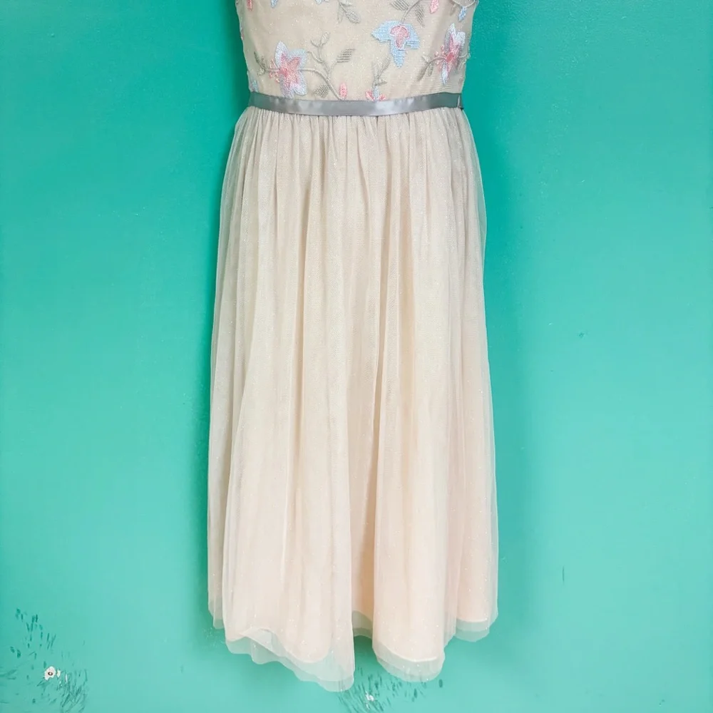 NWT Rare Editions Cream Mesh Floral Embroidered Tulle Skirt Formal Maxi Dress 10